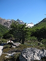 Patagonie 098
